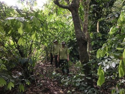 Phê duyệt danh mục đa dạng sinh học rừng đặc dụng Tà Xùa, Sơn La