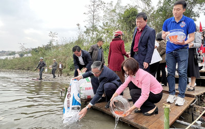 Lào Cai tổ chức triển khai Ngày hội bảo đảm môi trường xung quanh, thả tương tự phóng sinh khởi tạo mối cung cấp lợi thủy sản