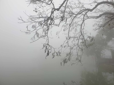 Hà Nội: Sương mù dày đặc, tăng nguy cơ bệnh truyền nhiễm