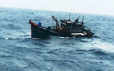 Quảng Nam: Tàu cá bị đâm chìm, 6 ngư dân được cứu vớt an toàn