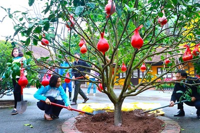 Phụ nữ Thủ đô phấn đấu trồng mới 7.000 cây trong năm 2024