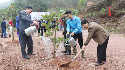 Bắc Giang: Phát động Tết trồng cây Xuân Giáp Thìn
