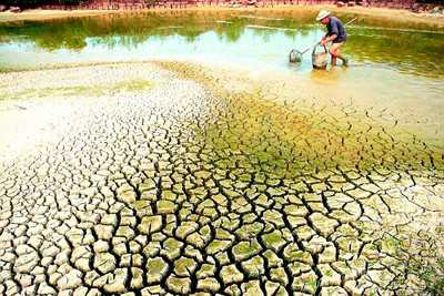 Chủ động ứng phó hạn, mặn mùa khô 2023-2024 tại vùng Đồng bằng sông Cửu Long