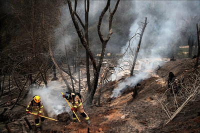 Vụ cháy rừng tại Chile: Số người thiệt mạng đã tăng lên 122 người