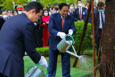 Thủ tướng chỉ thị tổ chức Tết trồng cây, tăng cường công tác quản lý, bảo vệ, phát triển rừng