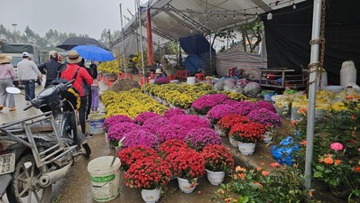 Ninh Bình rực rỡ Chợ hoa Xuân Giáp Thìn 2024