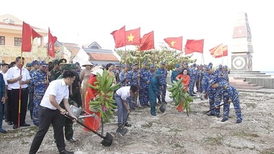 Huyện đảo Trường Sa hưởng ứng Tết trồng cây đầu năm mới