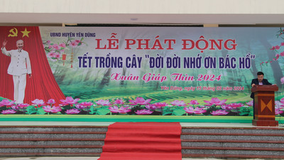 Yên Dũng (Bắc Giang): Phấn đấu trồng 700.000 cây phân tán