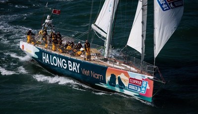 Quảng Ninh: Sắp diễn ra Giải đua thuyền buồm Clipper Race