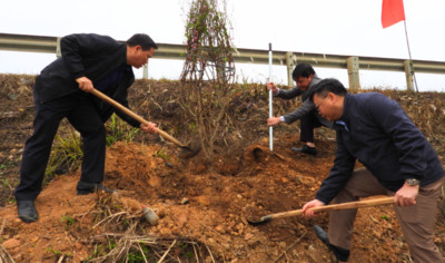 Lạng Sơn: Phát động “Tết trồng cây đời đời nhớ ơn Bác Hồ” xuân Giáp Thìn 2024