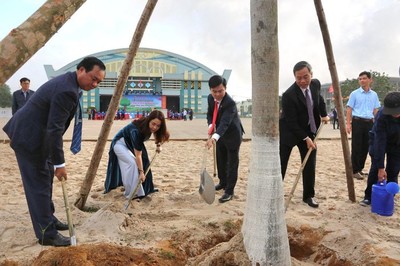 Quảng Trị: Đã triển khai trồng được trên 11.500 ha rừng