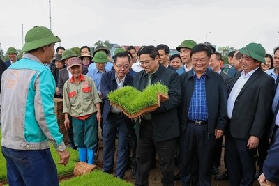 Thủ tướng xuống đồng cấy lúa cùng nông dân Hải Dương