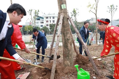Năm 2024, toàn quận Long Biên phấn đấu trồng mới trên 6.000 cây xanh đô thị các loại