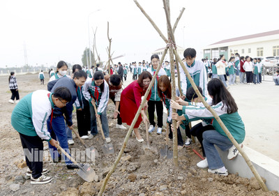 Ninh Bình: Phát động Tết trồng cây đời đời nhớ ơn Bác Hồ Xuân Giáp Thìn