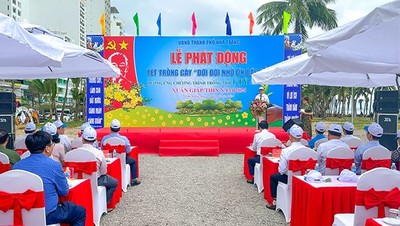 Nha Trang trồng 100 cây dừa nhân dịp Tết trồng cây xuân Giáp Thìn 2024