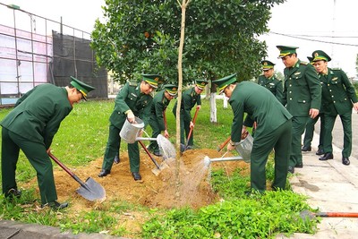 Ninh Bình: Bộ đội Biên phòng tỉnh phát động “Tết trồng cây đời đời nhớ ơn bác Hồ”