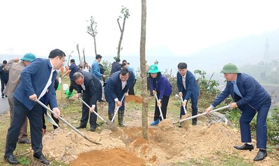 Na Hang (Tuyên Quang) phấn đấu trồng mới 530 ha rừng