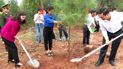 Tân Yên (Bắc Giang): Phấn đấu trồng 600 nghìn cây xanh trong năm 2024