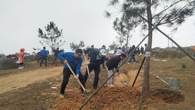Toàn tỉnh Bắc Giang trồng hơn 45 nghìn cây phân tán