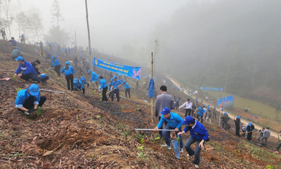 Liên đoàn Lao động tỉnh Cao Bằng phát động Tết trồng cây Xuân Giáp Thìn 2024