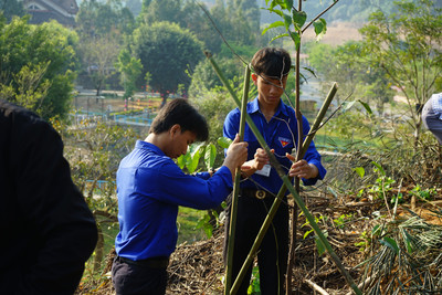 Quảng Nam phát động trồng cây lan tỏa lối sống xanh, bảo vệ môi trường