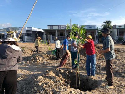 Phong trào Tết trồng cây - Lan tỏa việc “xanh hóa” Ninh Thuận
