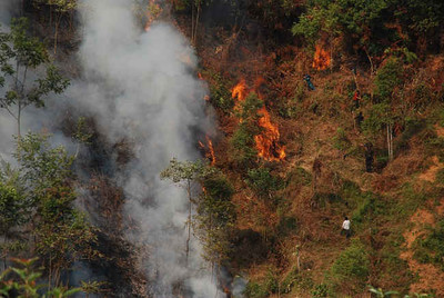 Yên Bái: Kịp thời dập tắt đám cháy rừng ở 3 xã Chế Tạo, Lao Chải, Mồ Dề