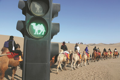 Trung Quốc: Khu du lịch lắp đèn giao thông cho lạc đà trên sa mạc