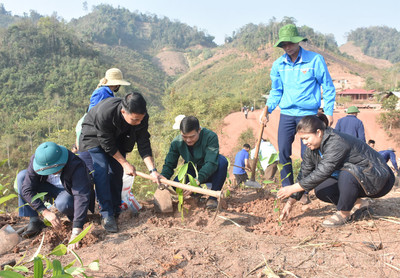 Huyện Nậm Pồ (Điện Biên) phát động “Tết trồng cây đời đời nhớ ơn Bác Hồ”
