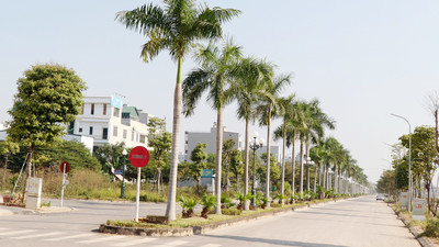 TP Bắc Giang: Tập trung xây dựng khu đô thị văn minh kiểu mẫu