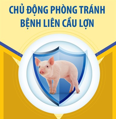 Hà Nội vừa ghi nhận ca mắc liên cầu lợn, cần chủ động phòng tránh thế nào?