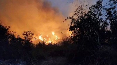 Cháy rừng tàn phá 160.000 ha đất trải dài 10 tỉnh phía Bắc Thái Lan