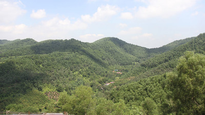 Công bố hiện trạng, diện tích rừng tỉnh Bắc Giang năm 2023