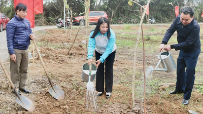 Hội Liên hiệp Phụ nữ tỉnh Bắc Giang hưởng ứng Tết trồng cây năm 2024