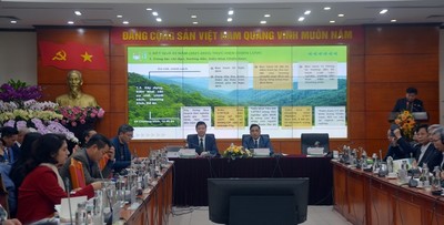 Giải pháp thực hiện Chiến lược phát triển Lâm nghiệp Việt Nam trong bối cảnh mới
