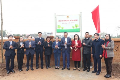 Hội Nông dân thành phố Hà Nội tổ chức Lễ phát động Tết trồng cây “Đời đời nhớ ơn Bác Hồ”