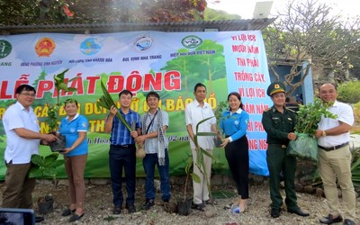 Khánh Hoà: Lan tỏa phong trào trồng cây xanh trên đảo Bích Đầm