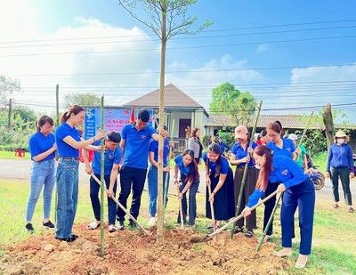Tuổi trẻ Quảng Trị nô nức tổ chức hoạt động Tết trồng cây đời đời nhớ ơn Bác Hồ