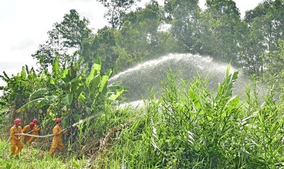Cà Mau: Diễn tập chữa cháy rừng tại Vườn Quốc gia U Minh Hạ