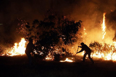 Gia hạn tình trạng khẩn cấp tại Chile do cháy rừng
