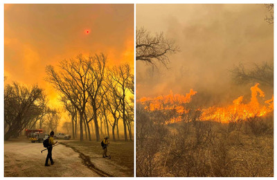 Mỹ: Cháy rừng lớn nhất lịch sử bang Texas, thiêu trụi hơn 400.000ha rừng