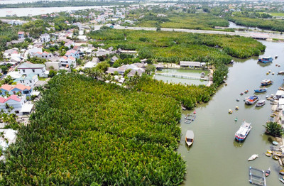 Quảng Nam đăng cai tổ chức Năm phục hồi đa dạng sinh học quốc gia 2024