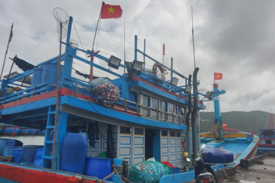Bình Định: Tàu cá dài từ 15 m phải đưa rác thải vào bờ