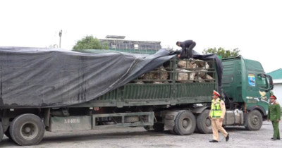 Nghệ An: Phát hiện, bắt giữ gần 500 tấn thạch anh không rõ nguồn gốc