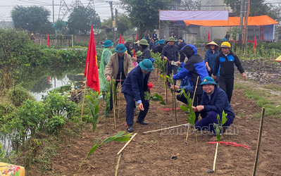 Nông dân huyện Lương Tài (Bắc Ninh) phấn đấu trồng 5.000 cây xanh