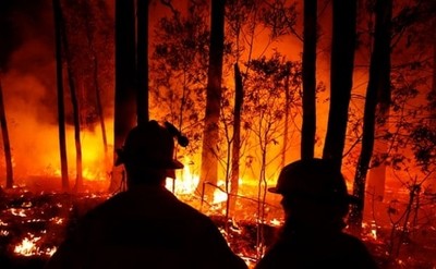 Nga: Cháy rừng tại vùng Primorye đe dọa các khu bảo tồn thiên nhiên