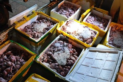 Hà Tĩnh: Phát hiện xe khách chở 2,2 tấn thịt chim cút đã bốc mùi hôi thối không rõ nguồn gốc