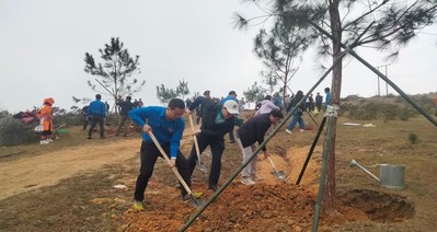 Bắc Giang phấn đấu trồng 6,4 triệu cây phân tán, nâng cao chất lượng rừng trồng