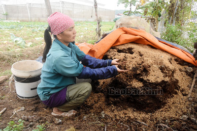 Phụ nữ huyện Gia Bình (Bắc Ninh) quyết tâm làm nông nghiệp sạch