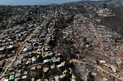 Chile: Cháy rừng thiêu rụi 20 ngôi nhà tại vùng Valparaiso